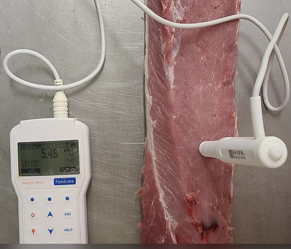 La importancia de medir el pH en la carne
